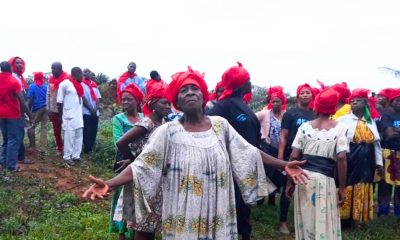 World’s largest pension fund dumps company over plantation violations