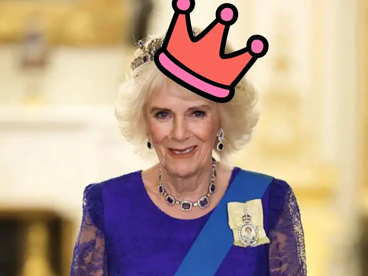 Queen Camilla defies 'culture of silence' whilst silent about Epstein