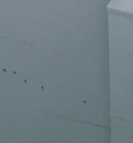 Ivana Lisette Ortiz's Social Media Posts About Rihanna Resurface After $10M Bail Set In Shooting At Singer's Home (PHOTOS)