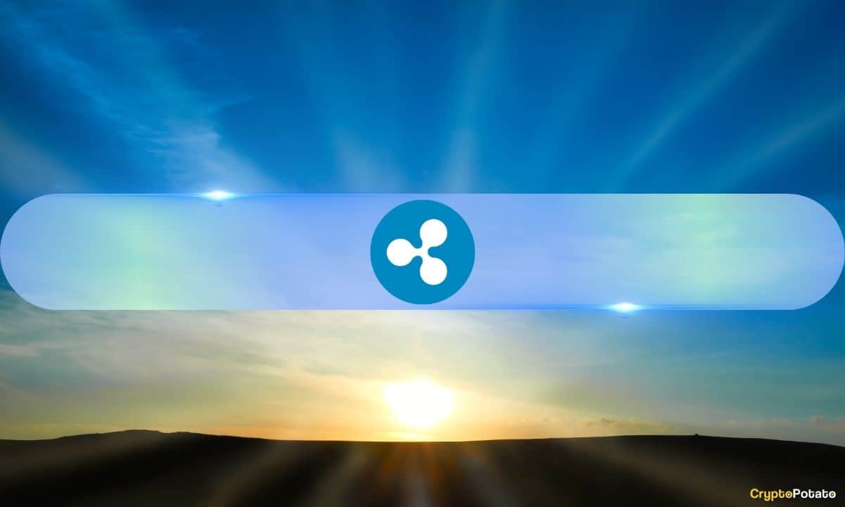 XRP Ledger Hits All-Time High as Ripple Price Jumps 14% in 48 Hours