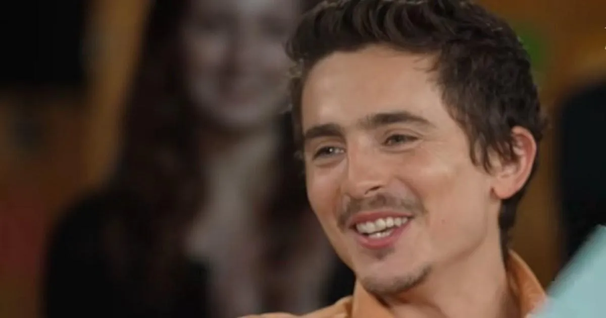 Hollywood turns on Timothee Chalamet after 'uneducated and disrespectful' remarks