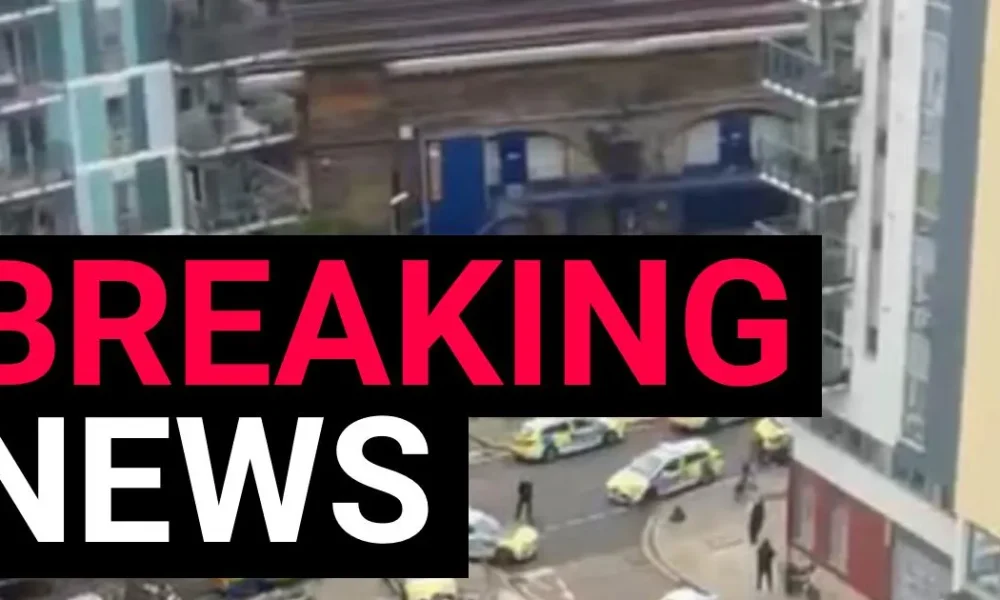 Man dual-wielding axes 'sets Cane Corso on three police officers' | News UK