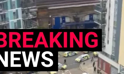 Man dual-wielding axes 'sets Cane Corso on three police officers' | News UK