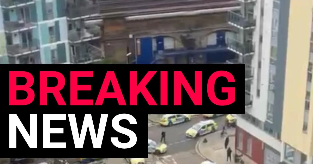 Man dual-wielding axes 'sets Cane Corso on three police officers' | News UK