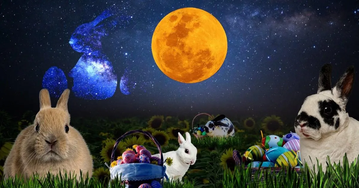 The one step, ritual or action your star sign needs to take this spring