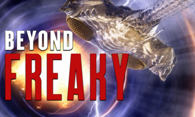 The Sci-Fi Space Ship So Totally Inappropriate, It'd Get Everyone Involved Cancelled Today