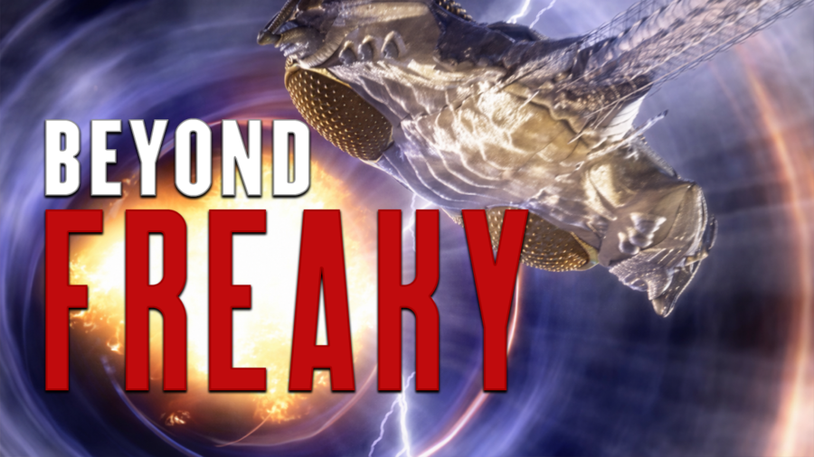 The Sci-Fi Space Ship So Totally Inappropriate, It'd Get Everyone Involved Cancelled Today