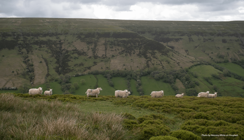 Full speed ahead on SPS alignment