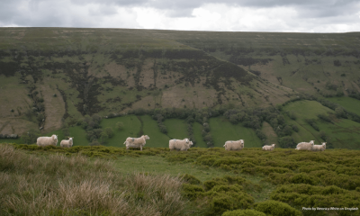 Full speed ahead on SPS alignment