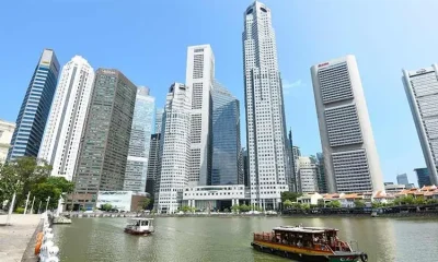 Choosing the Right Structure for Foreign Market Entry