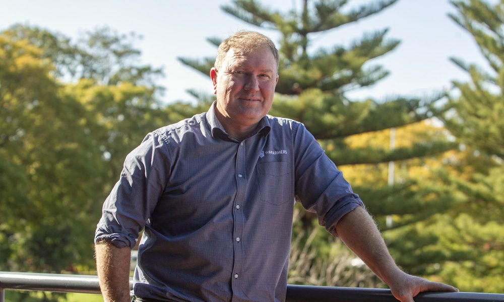 Farmers could need ‘bumper year’ to offset fuel, fertiliser costs