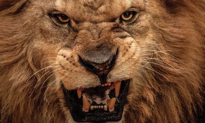 The Restructuring Of Global Oil| Investor's Business Daily