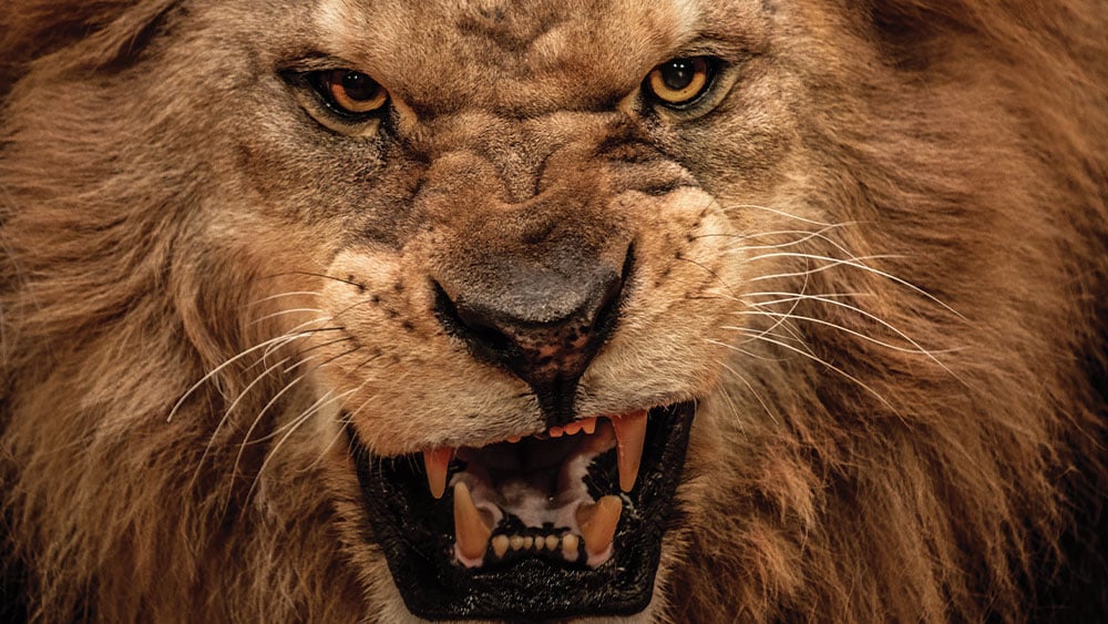 The Restructuring Of Global Oil| Investor's Business Daily