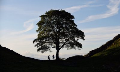 ‘Turning a moment of loss into something hopeful’