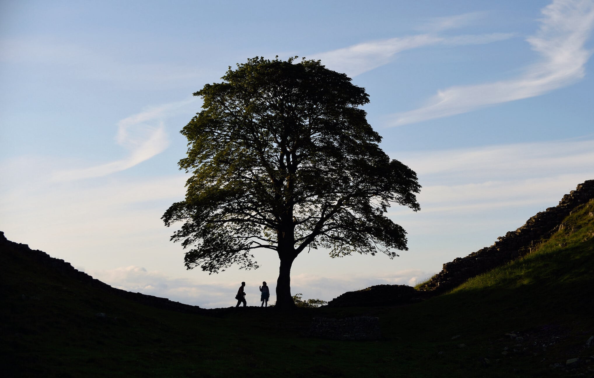 ‘Turning a moment of loss into something hopeful’