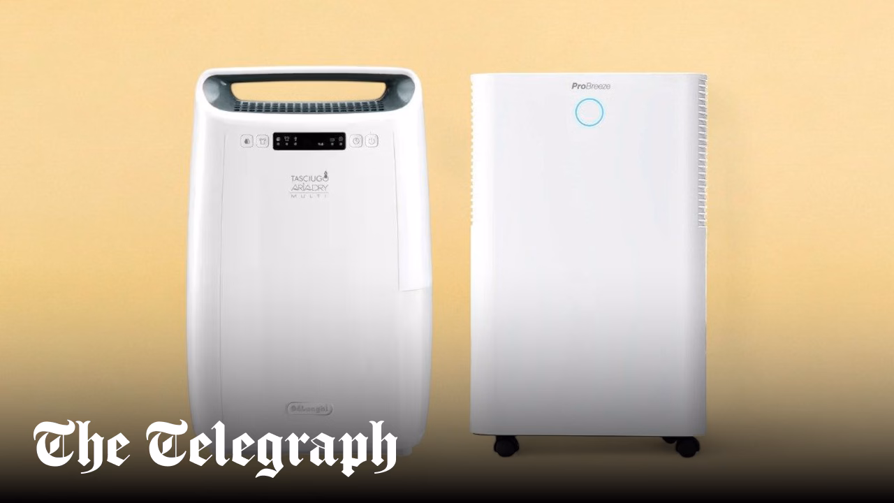 The best dehumidifiers in 2026 for drying laundry, to prevent mould and reduce condensation