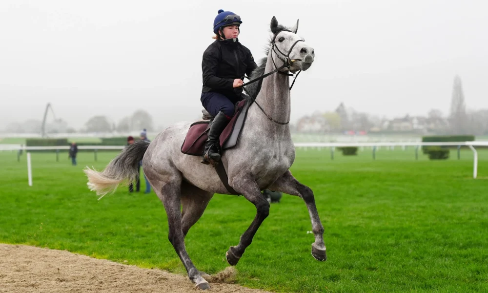 Tips, races, odds and weather for Tuesday