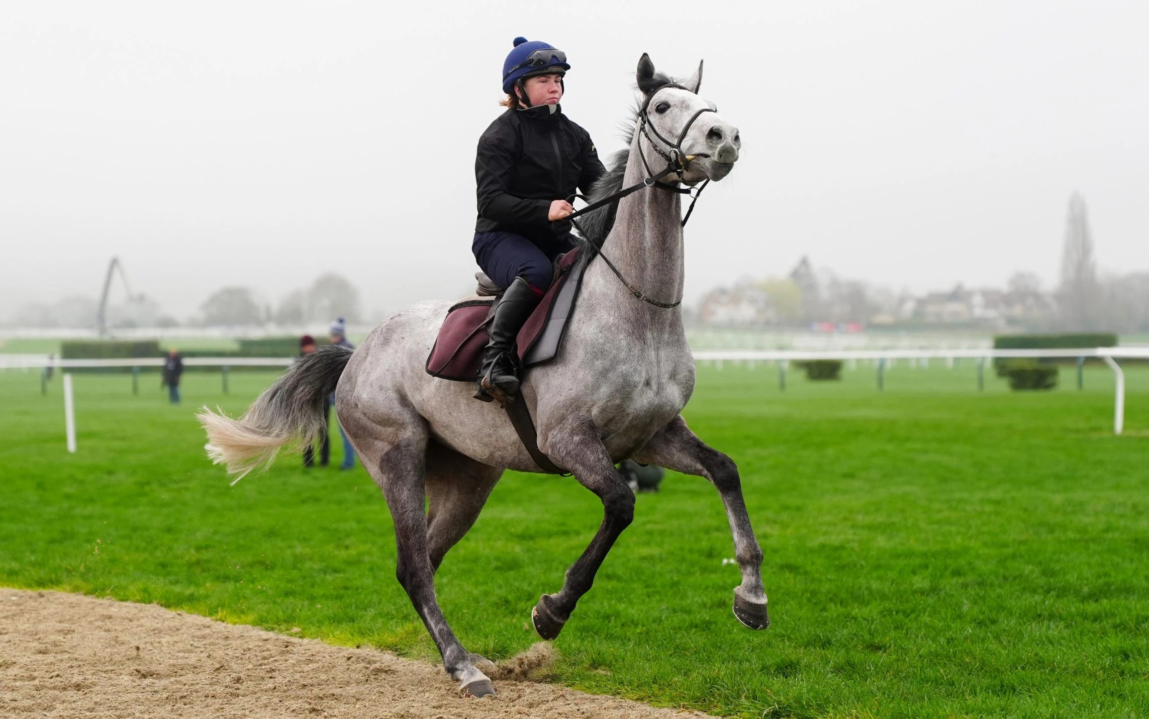 Tips, races, odds and weather for Tuesday