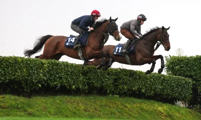 Tips, races, odds and weather for Wednesday