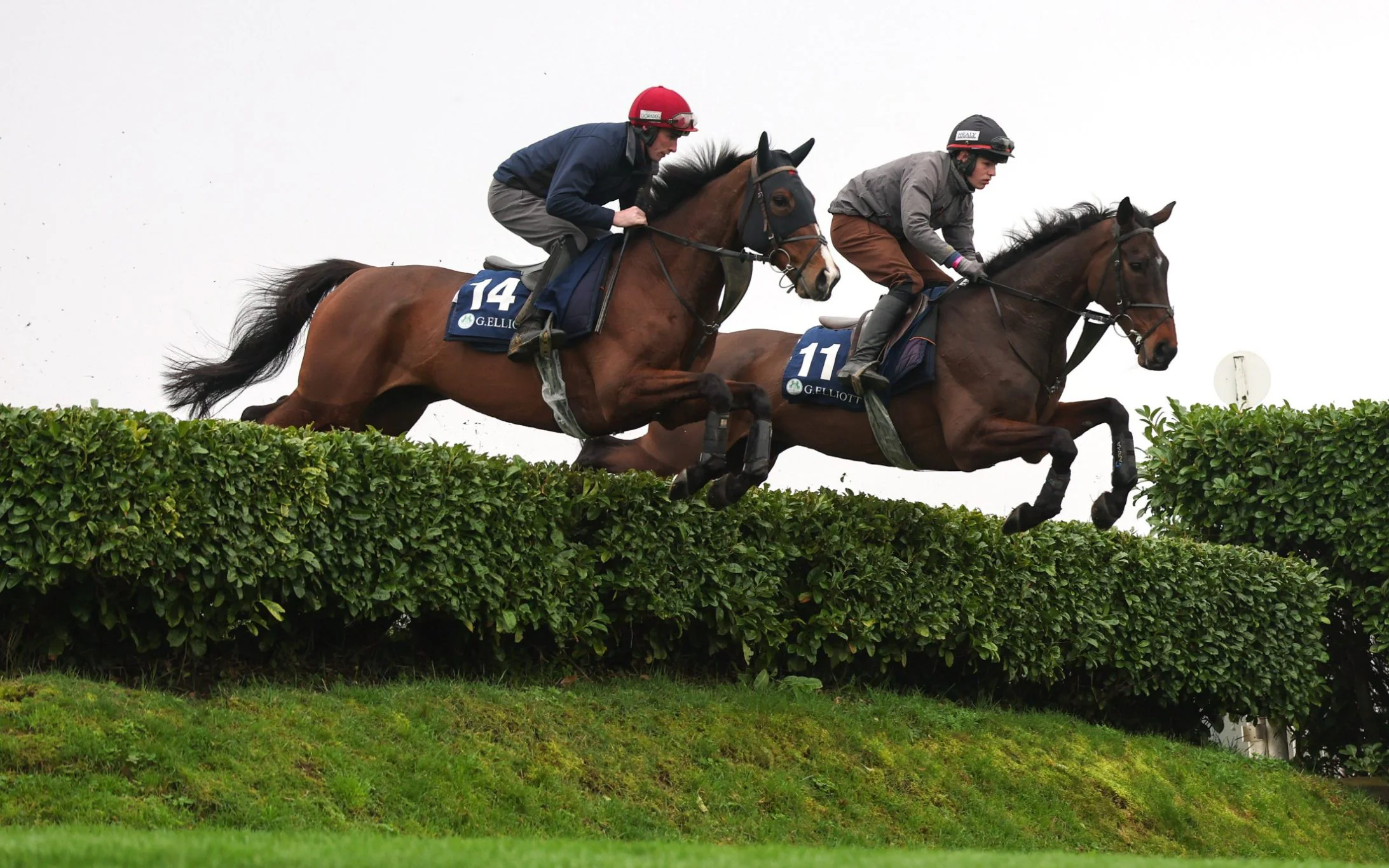 Tips, races, odds and weather for Wednesday