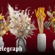 Best dried flowers for gifts 2026, including Bloom & Wild and Lisa Angel