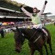 Gaelic Warrior storms to Gold Cup glory as Mullins makes extraordinary look normal