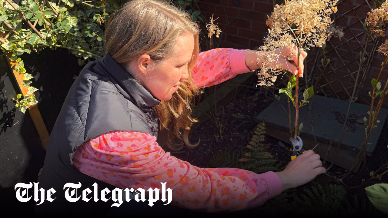 11 best secateurs for pruning your garden, tested on my allotment