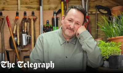 Mark Lane answers Telegraph Recommended reader questions