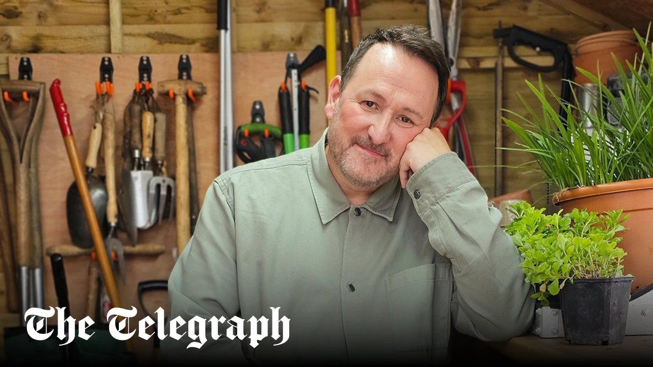 Mark Lane answers Telegraph Recommended reader questions