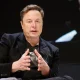 Musk offers to pay TSA workers as DHS funding lapse hits airports