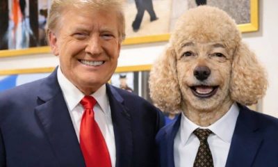 Trump to choose UK leader next as he meets with far-right Farage