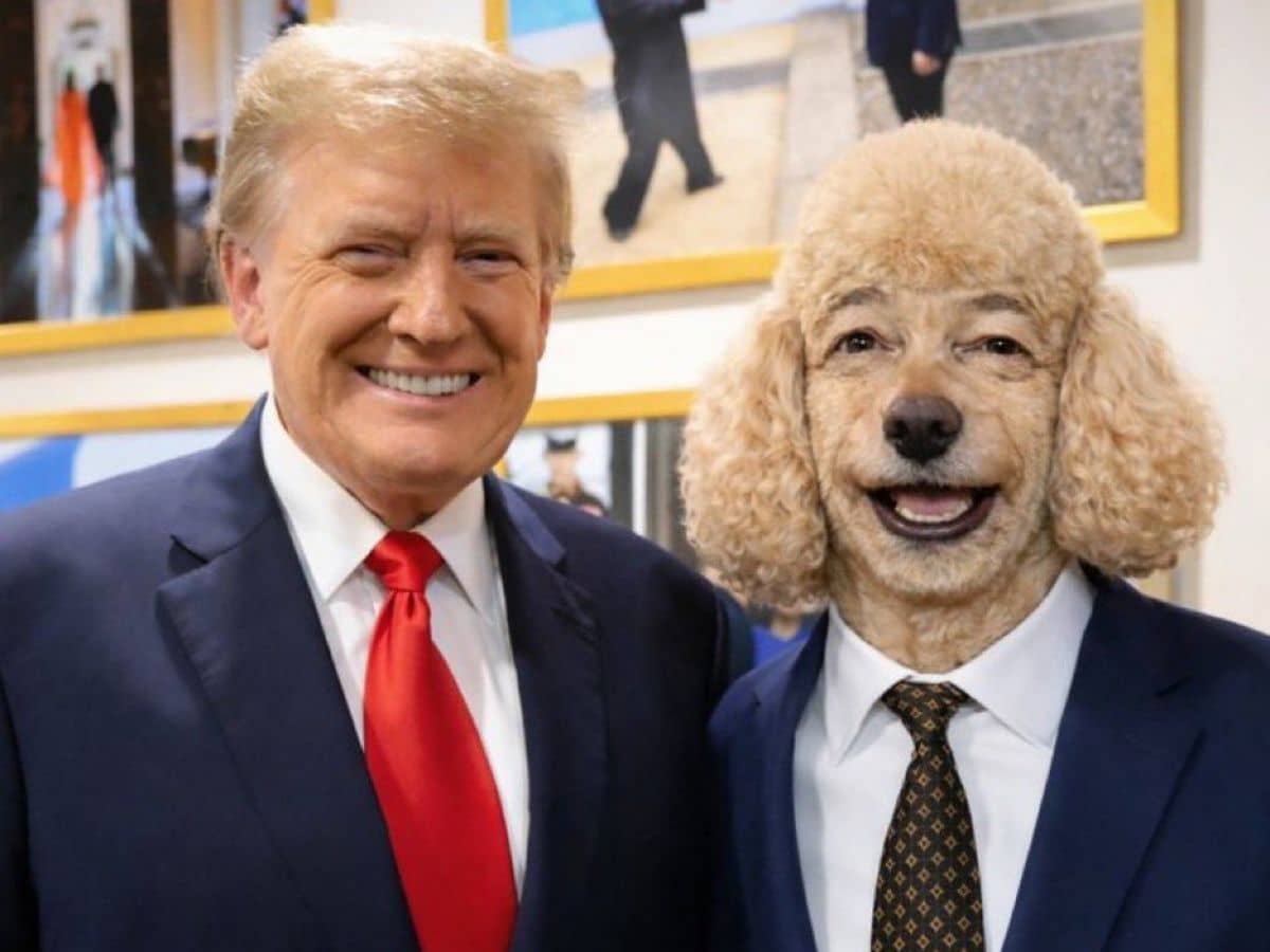 Trump to choose UK leader next as he meets with far-right Farage