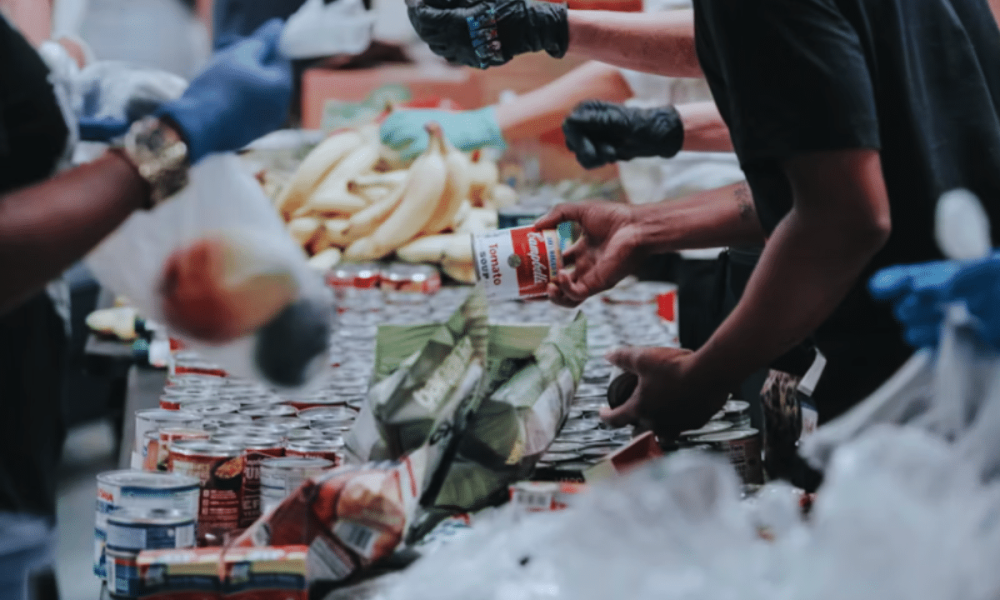 Food bank use surges among UK students