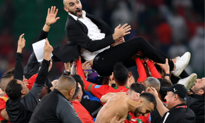 Fans call for Morocco's coach to return