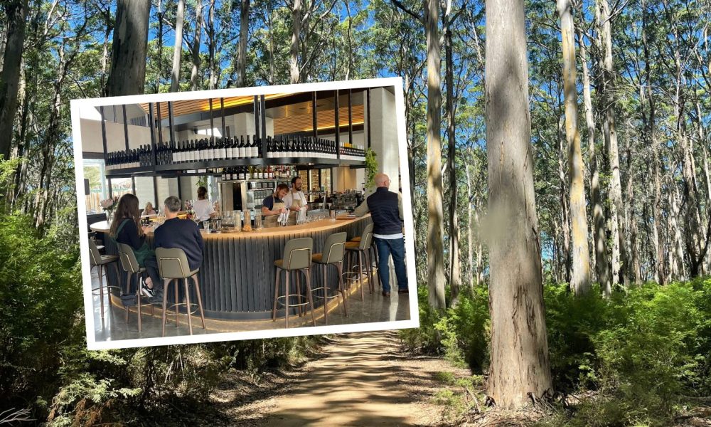 Review: Forests, fine fare and friendly faces