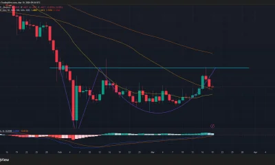 XRP price has formed an Adam and Eve pattern on the daily chart.
