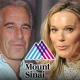 jeffrey-epstein-eva-dubin-main-getty-1