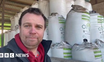 'Fertiliser costs mean I'm better off not planting,' says farmer