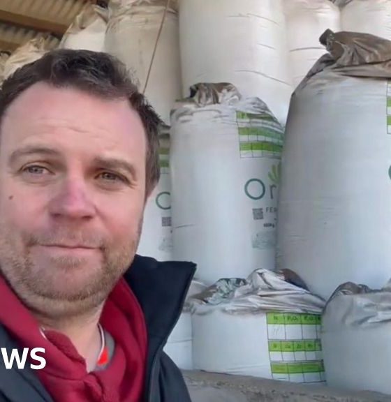 'Fertiliser costs mean I'm better off not planting,' says farmer