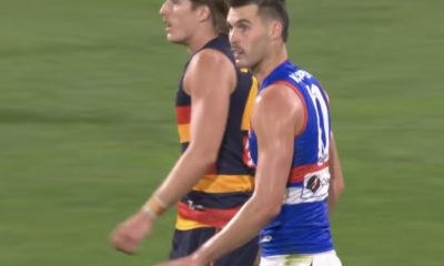 Adelaide vs Bulldogs: Western Bulldogs Edge Adelaide Crows in Thrilling