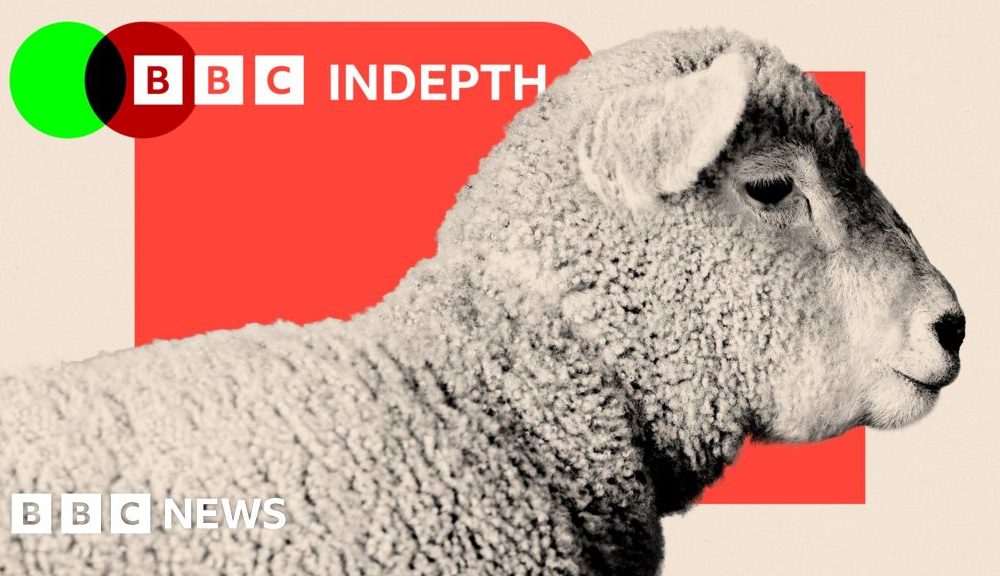 Sheep are disappearing from the UK's hills