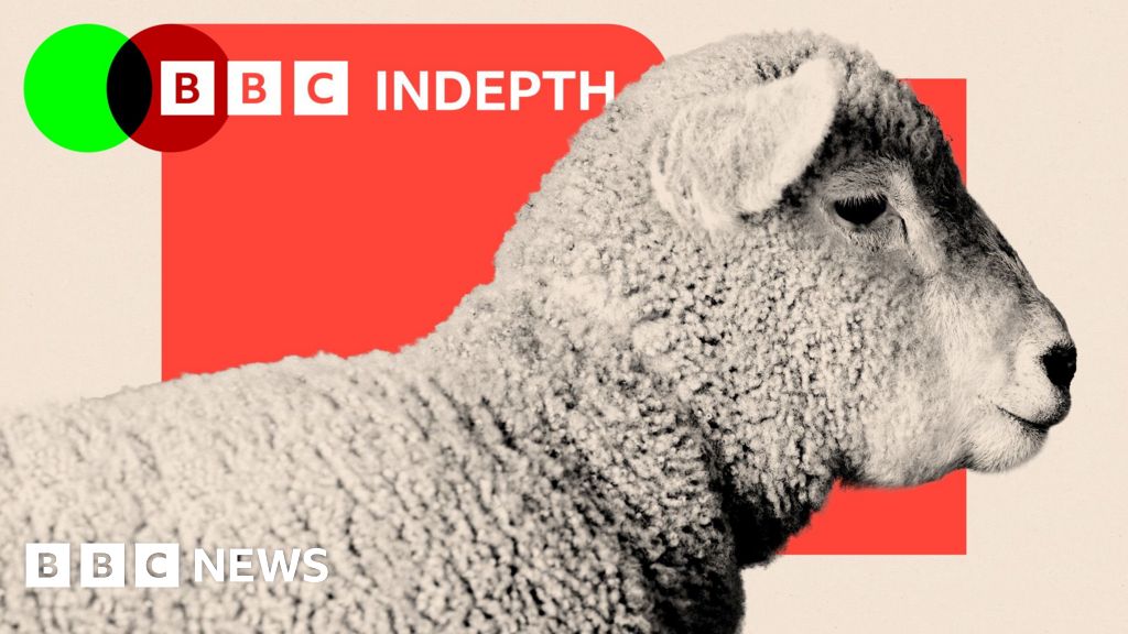 Sheep are disappearing from the UK's hills