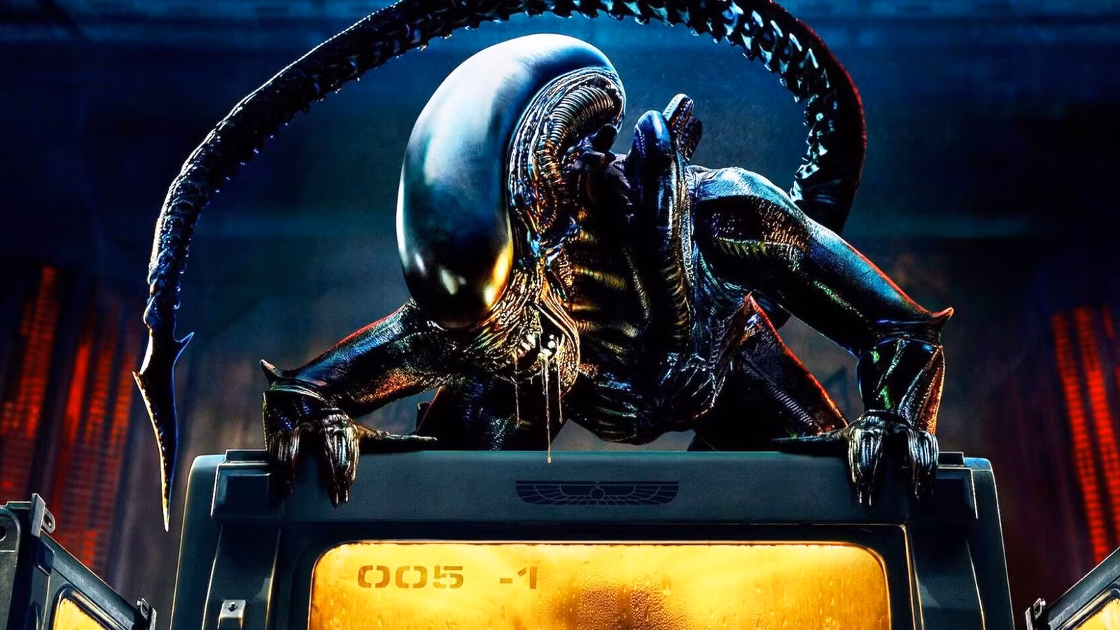 The Xenomorph in Alien: Earth snarling with drool dripping down, crouched on top of a box.