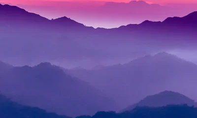 Tax-efficient Diversification Techniques | Fox Business