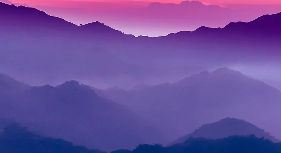 Tax-efficient Diversification Techniques | Fox Business