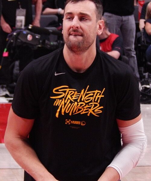 Andrew Bogut