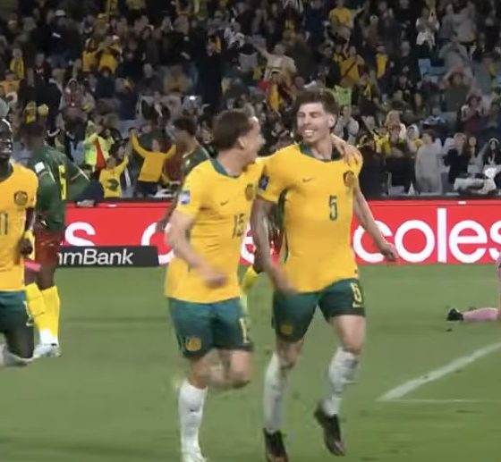 Former Heavyweight champion Mike Tyson will not face criminal charges over a fight on a plane last month