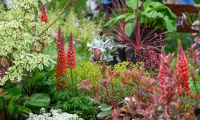 Gardening gloves at the ready for the BBC Gardeners’ World Spring Fair at Beaulieu