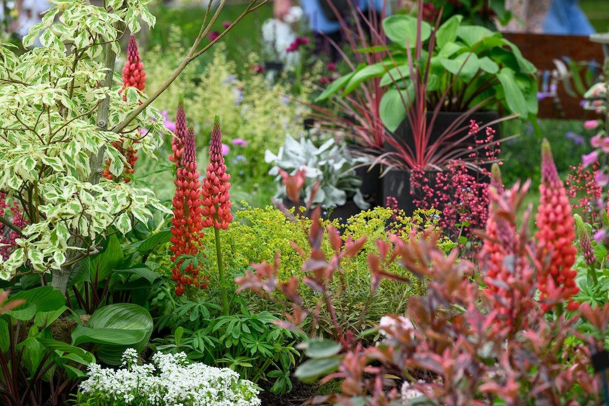 Gardening gloves at the ready for the BBC Gardeners’ World Spring Fair at Beaulieu