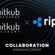 Bitkub Pioneers Thailand's First RLUSD-THB Trading Pair Launch